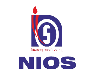 nios log